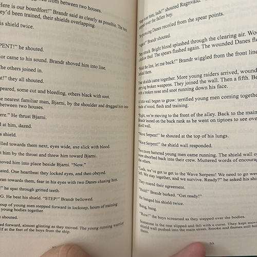 Brandr's First Blood Signed Novella